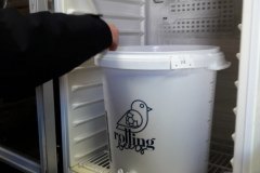 15-6-fermentation-3-800