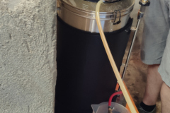 6-60-fermentation-2-800