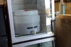 6-60-fermentation-5-800